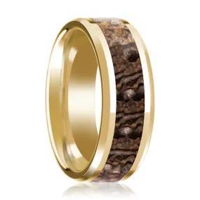 ACHEULIAN | 14k Yellow Gold Brown Dinosaur Bone Inlay