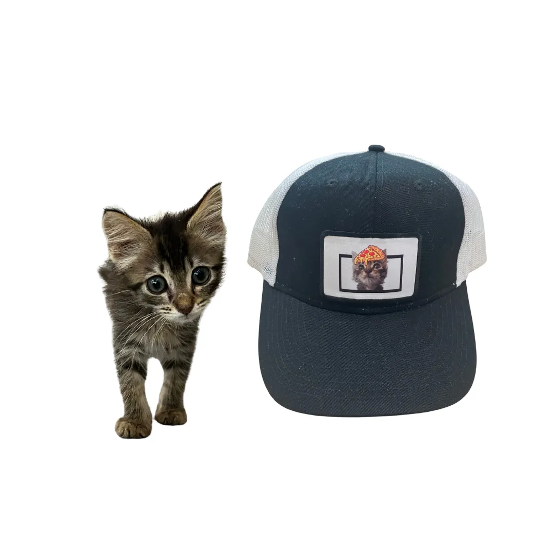 Cat Trucker Hat