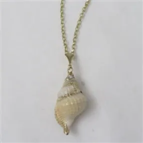 Cream Distorsio Shell Pendant Necklace on Gold Chain