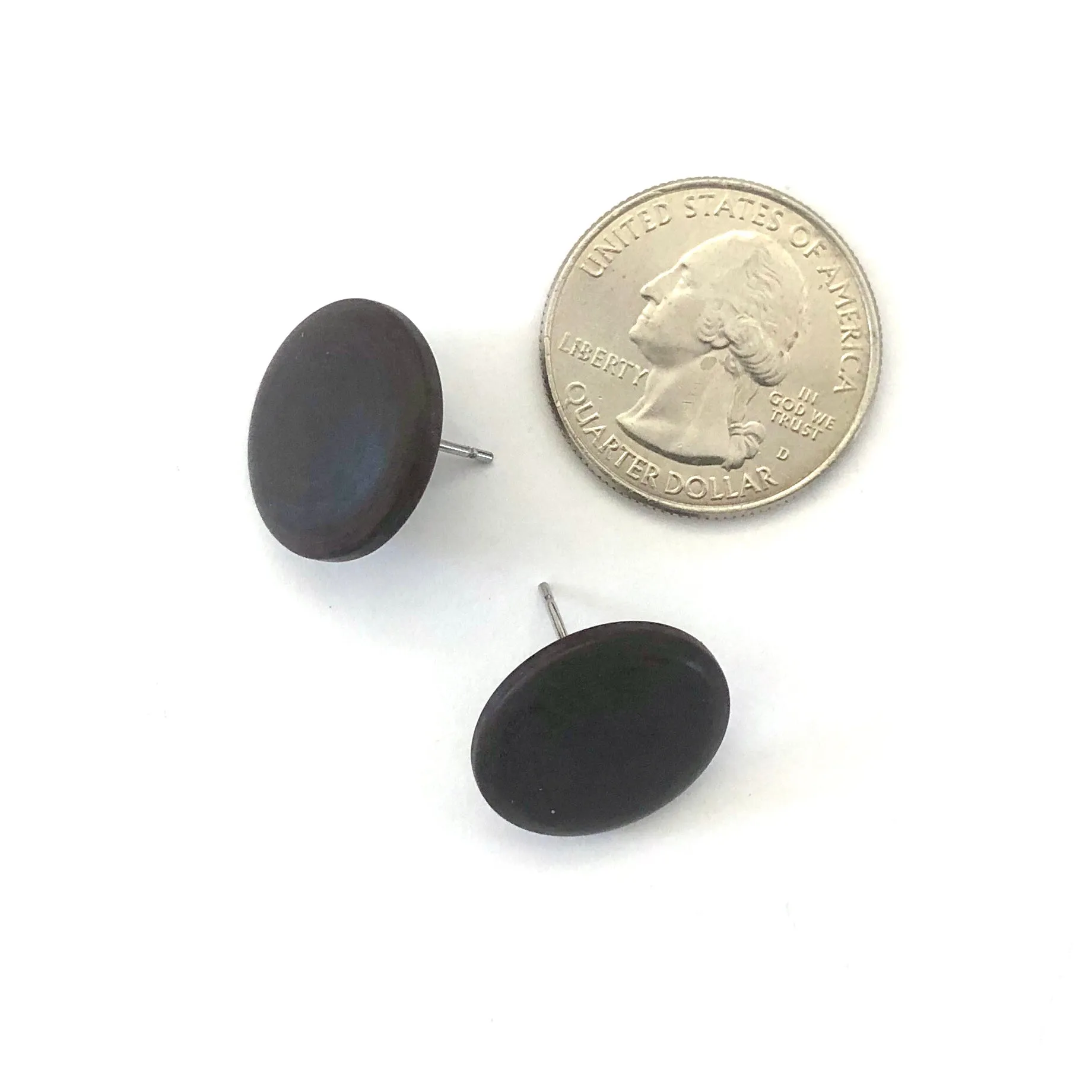 Dark Brown Matte Lucite Disc Stud Earrings