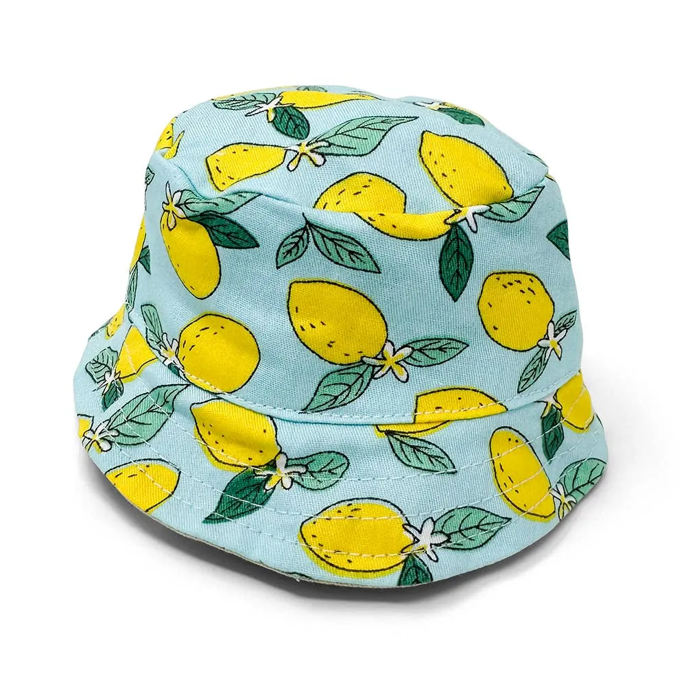 Dogo Pet Bucket Lemon Blue Doh Hat