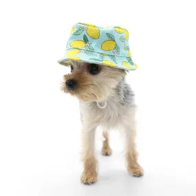 Dogo Pet Bucket Lemon Blue Doh Hat