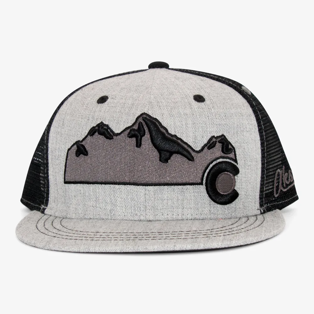 Rocky Mountain Colorado Flatbill Snapback Hat